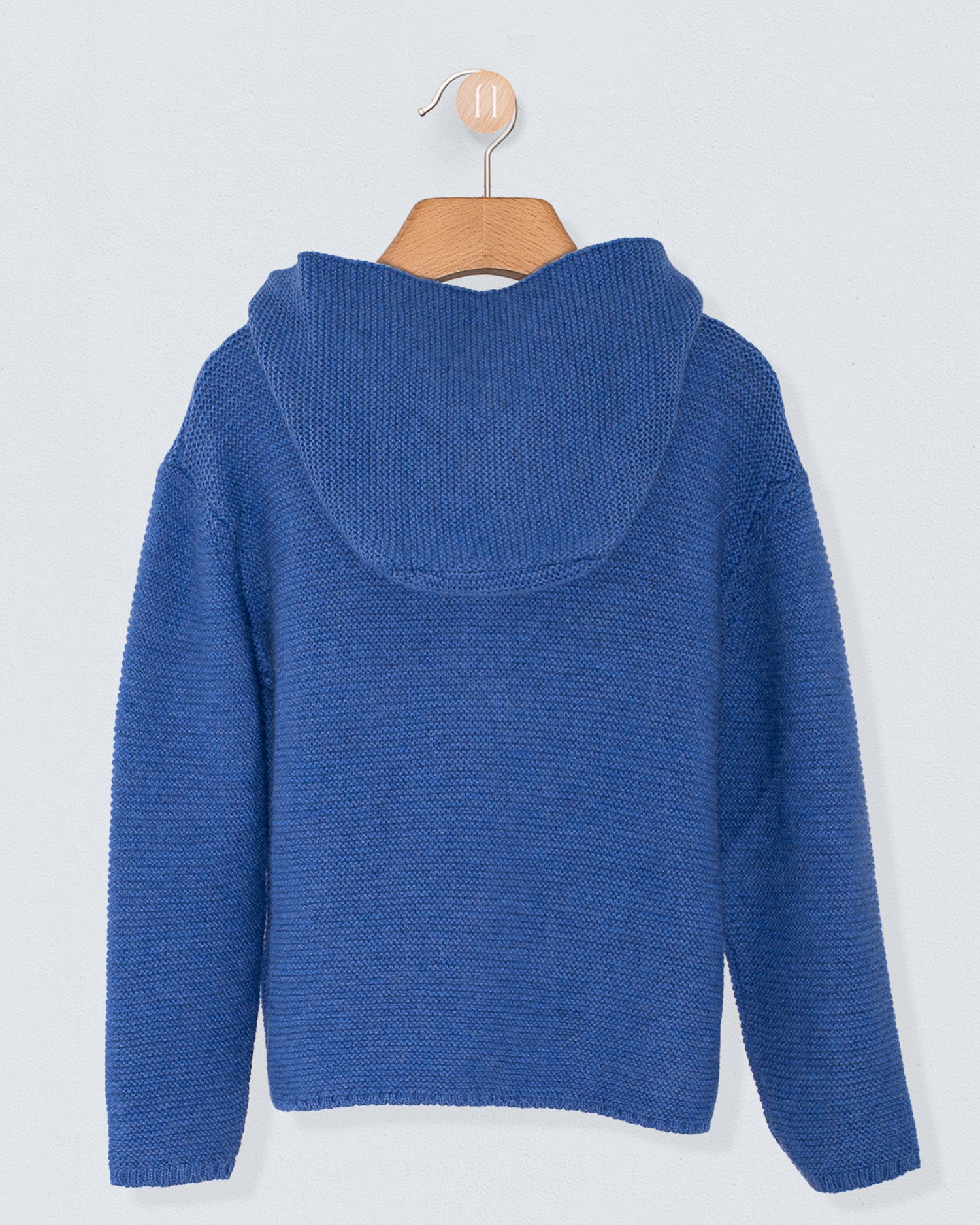Benjamin Dachshund Horizon Hooded Sweater